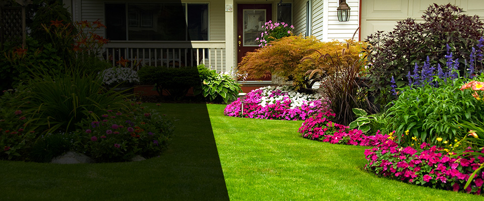 Broadview Landscapers