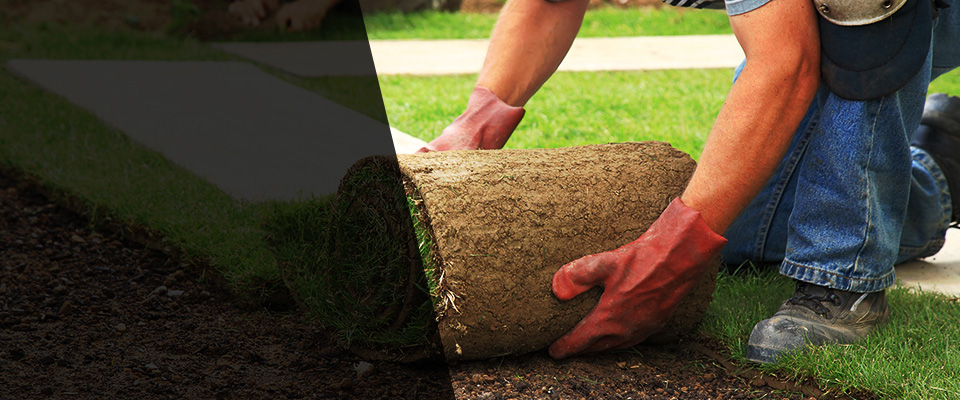 Broadview Landscapers